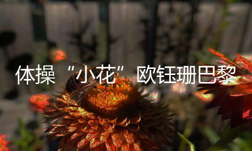 体操“小花”欧钰珊巴黎留憾 母亲:她从没打过退堂鼓