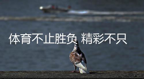 体育不止输赢 出色不但金牌!这些动听刹时让奥林匹克精力具象化