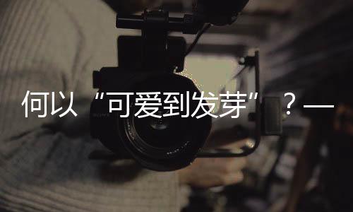 何故“心爱到抽芽”？——十五运会吉利物降生记