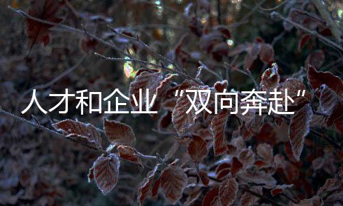 人材和企业“双向奔赴”!天下青年职业手艺大赛先生组决赛落幕