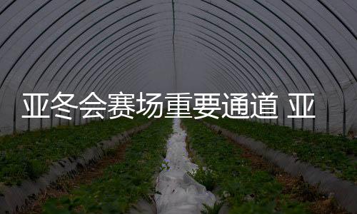 亚冬会赛场首要通道 亚雪公路改扩建工程提早通车