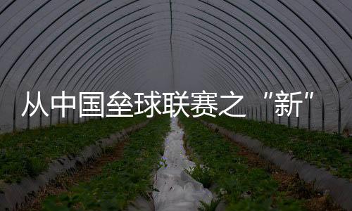 从中国垒球联赛之“新” 看国际垒球生长积淀之“果”