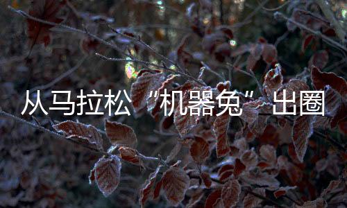 从马拉松“机械兔”出圈 洞见中国体育科技新活气