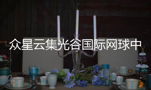 众星云集光谷国际网球中间 武汉网球公然赛正式开票