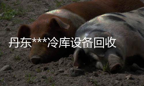 韩国晓星POKM33AG6A中粘度30玻维加强资料