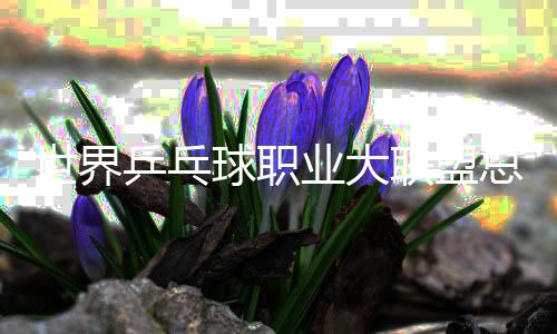 天下乒乓球职业大同盟总决赛2025将于12月在香港进行