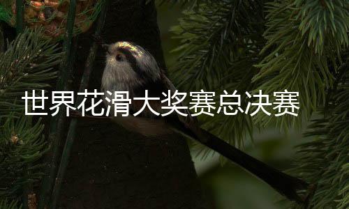 天下花滑大奖赛总决赛 张嘉轩/黄一航获双人滑冠军