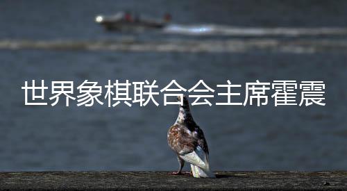 天下象棋结合会主席霍震霆:用象棋讲好中国故事