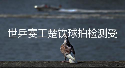 世乒赛王楚钦球拍检测受损 国际乒联回应彻查该事务
