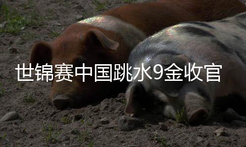 世锦赛中国跳水9金收官 奥运名目持续丢冠敲警钟