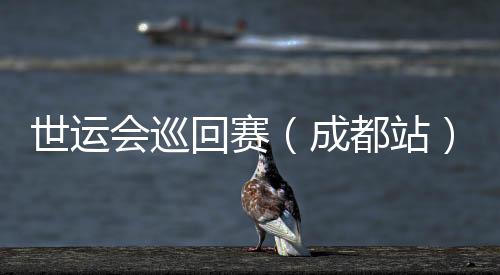 世运会巡回赛(成都站)收官 IWGA主席:成都已筹办好了