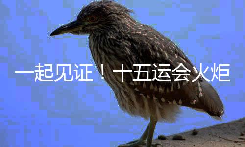 一路见证！十五运会火把通报启动典礼在深圳进行
