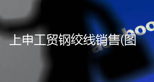 诚***路照明无限公司