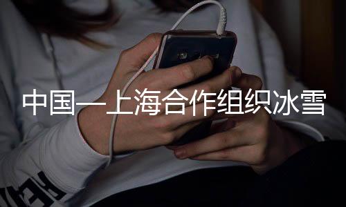 中国—上海协作构造冰雪体育树模区冰盘精英赛开赛