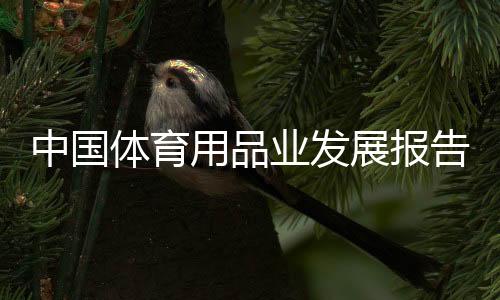 中国体育用品业成长报告:行业揭示较强经济韧性