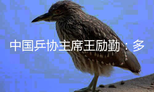 中国乒协主席王励勤：多哈世乒赛四个冠军来之不易