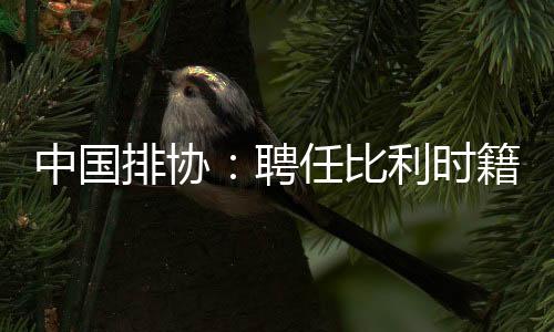 中国排协：聘用比利时籍锻练维塔尔·海宁为中国男排主锻练