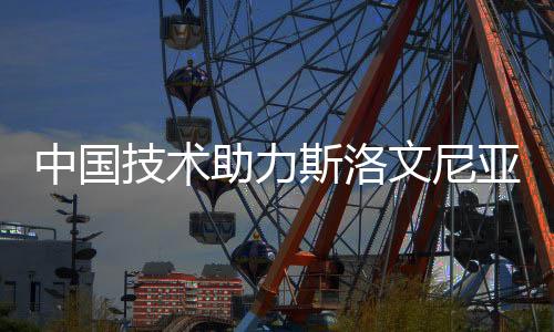 中国手艺助力斯洛文尼亚民族品牌逐梦巴黎奥运