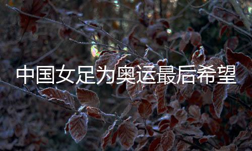 中国女足为奥运最初但愿而战,遭受韩国队胜率多少?