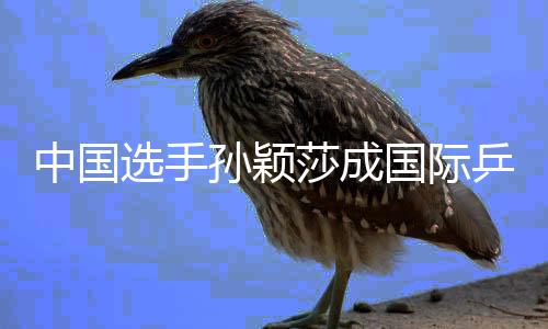 中国选手孙颖莎成国际乒联现行天下排名积分破万第一人
