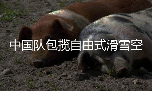 中国队包办自在式滑雪空中技能天下杯云顶站夹杂集体金银牌