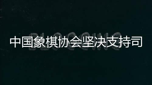 中国象棋协会果断撑持法律构造依法冲击涉象棋行业的守法行动