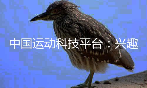 中国勾当科技平台:乐趣驱动的勾当体例已成为2024年风行趋向