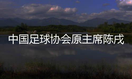 中国足球协会原主席陈戌源纳贿一审被判无期徒刑