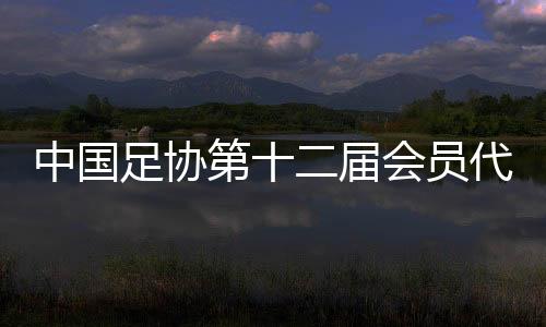中国足协第十二届会员代表大会第三次集会在京召开