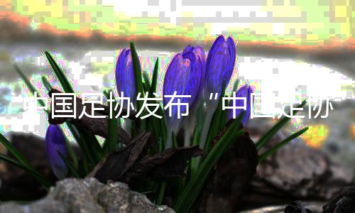 中国足协宣布“中国足协球员自荐体系” 自荐、提拔若何停止?