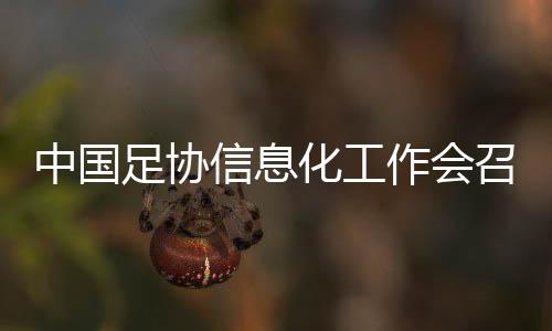 中国足协信息化任务会召开 尽力完成“天下一盘棋”办理