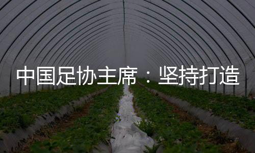 中国足协主席：对峙打造亚洲一流联赛和百年俱乐部