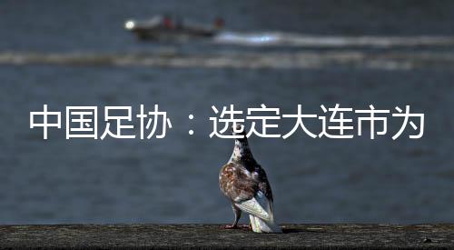 中国足协：选定大连市为中国队世初赛9月份主场包办都会