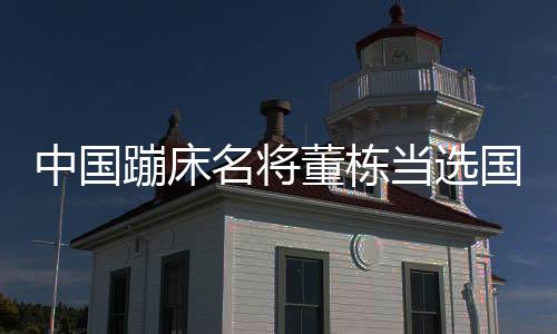 中国蹦床名将董栋被选国际体操结合会活带动委员会委员