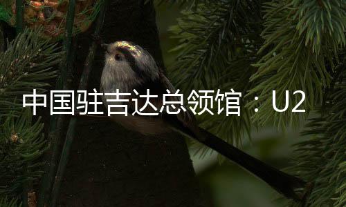 中国驻吉达总领馆：U23亚洲杯决赛“中国人免票”为不实信息