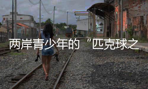 两岸青少年的“匹克球之约”:必然要在一路打球
