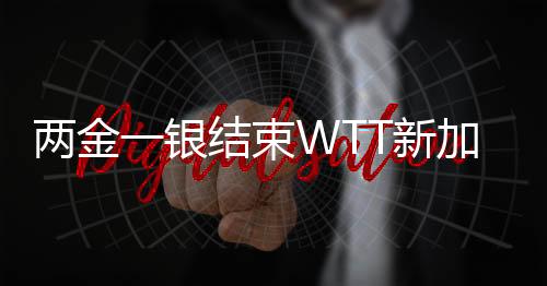 两金一银竣事WTT新加坡大满贯之旅 王楚钦等候更大冲破