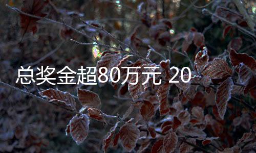 总奖金超80万元 2025郴州“林丹杯”羽毛球公然赛7月挥拍
