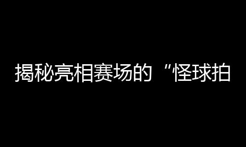 揭秘表态赛场的“怪球拍”:瑞典选手的球拍为甚么是六边形?
