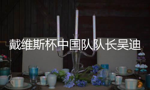 戴维斯杯中国队队长吴迪冀将最好的状况阐扬出来