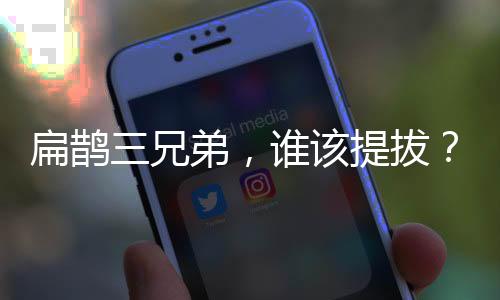 扁鹊三兄弟,谁该汲引?