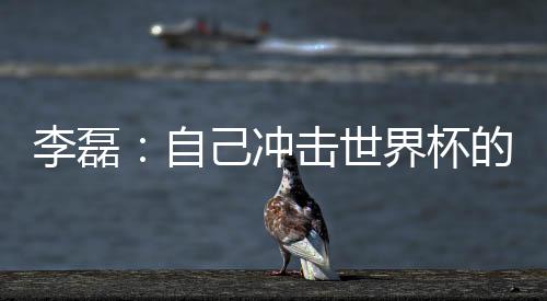 李磊：本身打击天下杯的最初一次机遇，不留遗憾