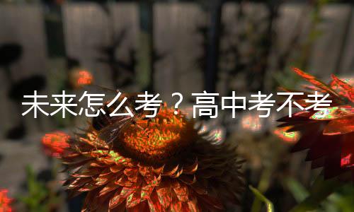 将来怎样考?高中考不考?——体育中考鼎新察看之三