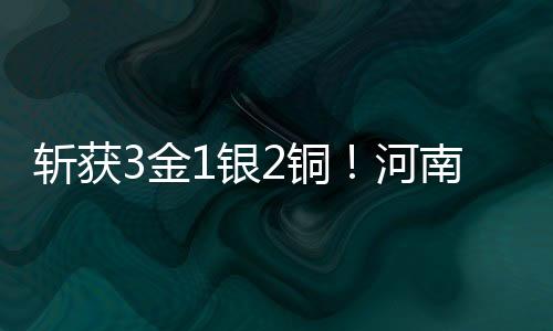 斩获3金1银2铜!河南选手出彩2025年天下跆拳道冠军总决赛