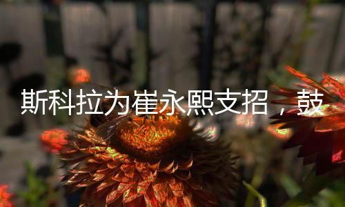斯科拉为崔永熙支招,鼓动勉励更多年青球员走进来