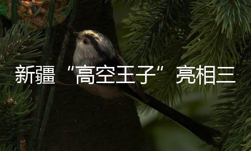 新疆“地面王子”表态三亚 报告非遗“达瓦孜”的传承故事