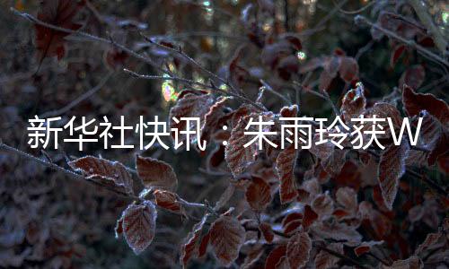 新华社快讯：朱雨玲获WTT美国大满贯女单冠军