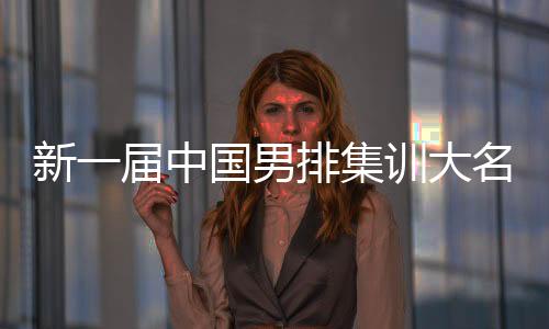 新一届中国男排集训台甫单宣布 比利时名帅海宁出任中国队主锻练