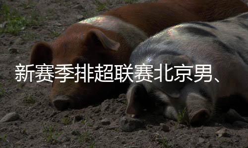 新赛季排超联赛北京男、女排回归主场光华体育馆