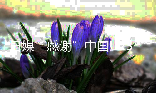 日媒“感激”中国U23男足 批己方球员伤人举措“难看”